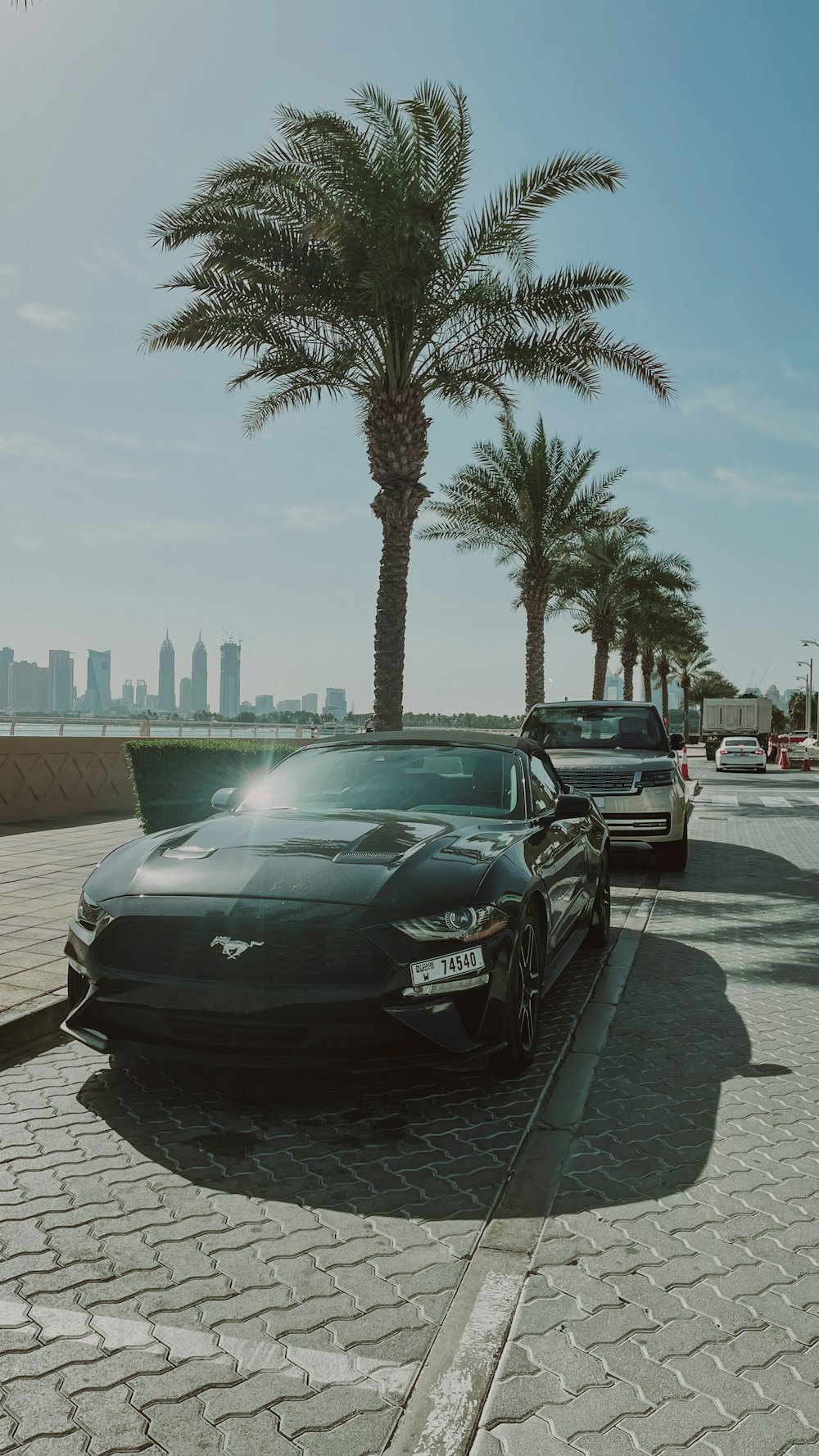 a car parked on the side of a road next to a palm tree