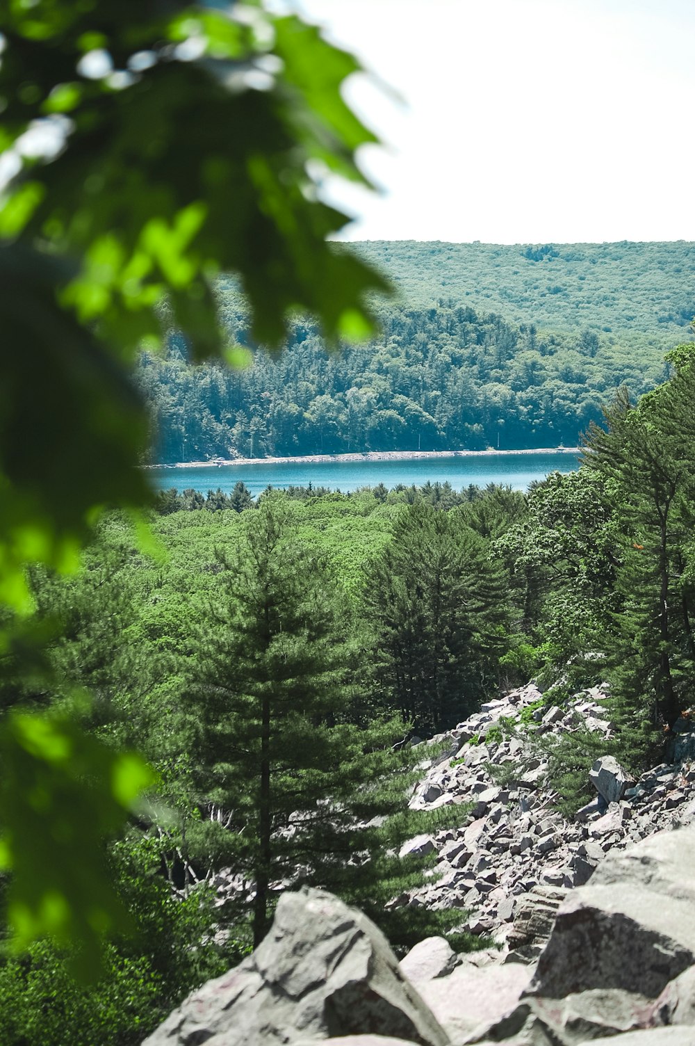 a view of a lake through the trees