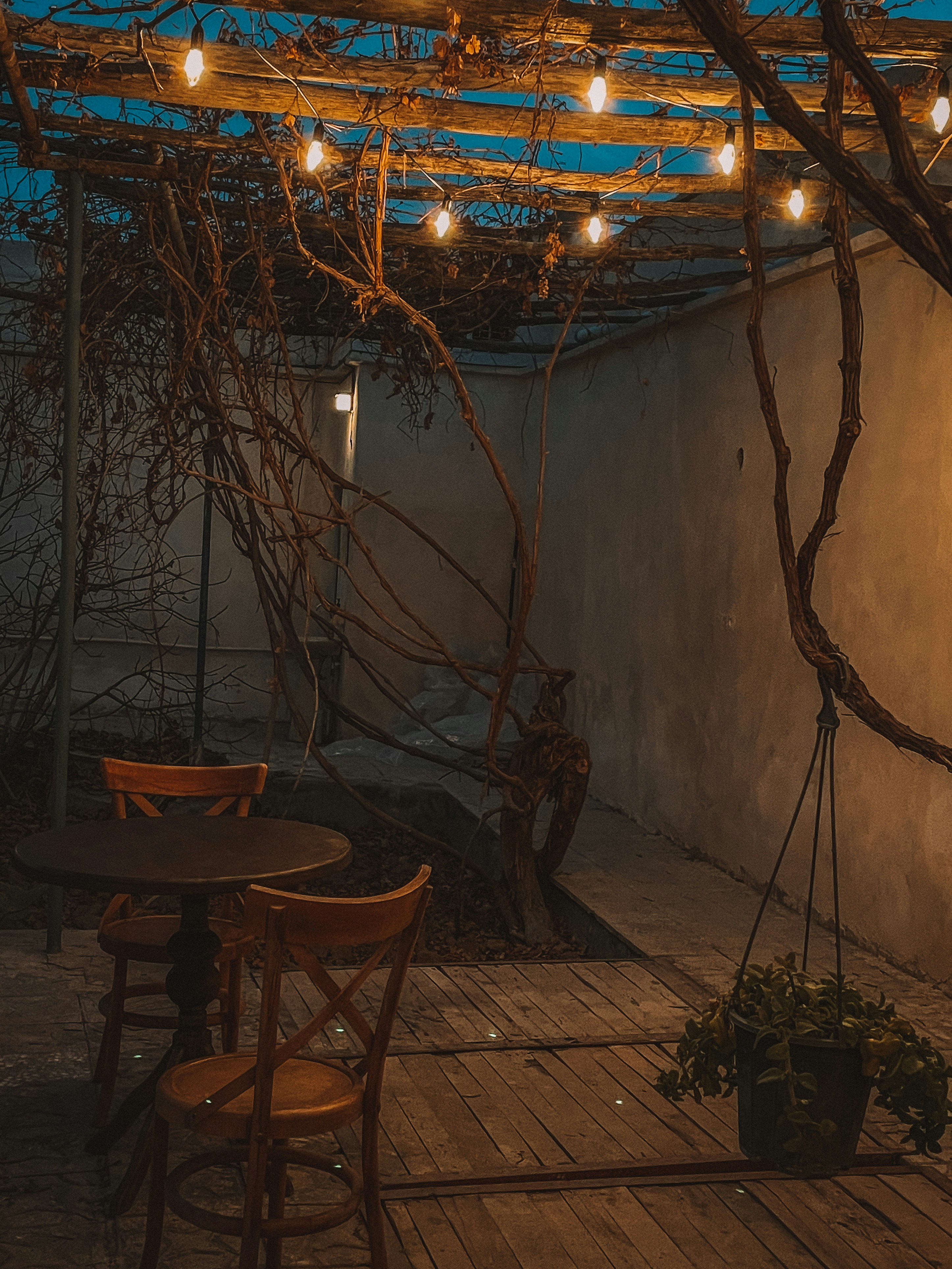 Photo by zahra___abam