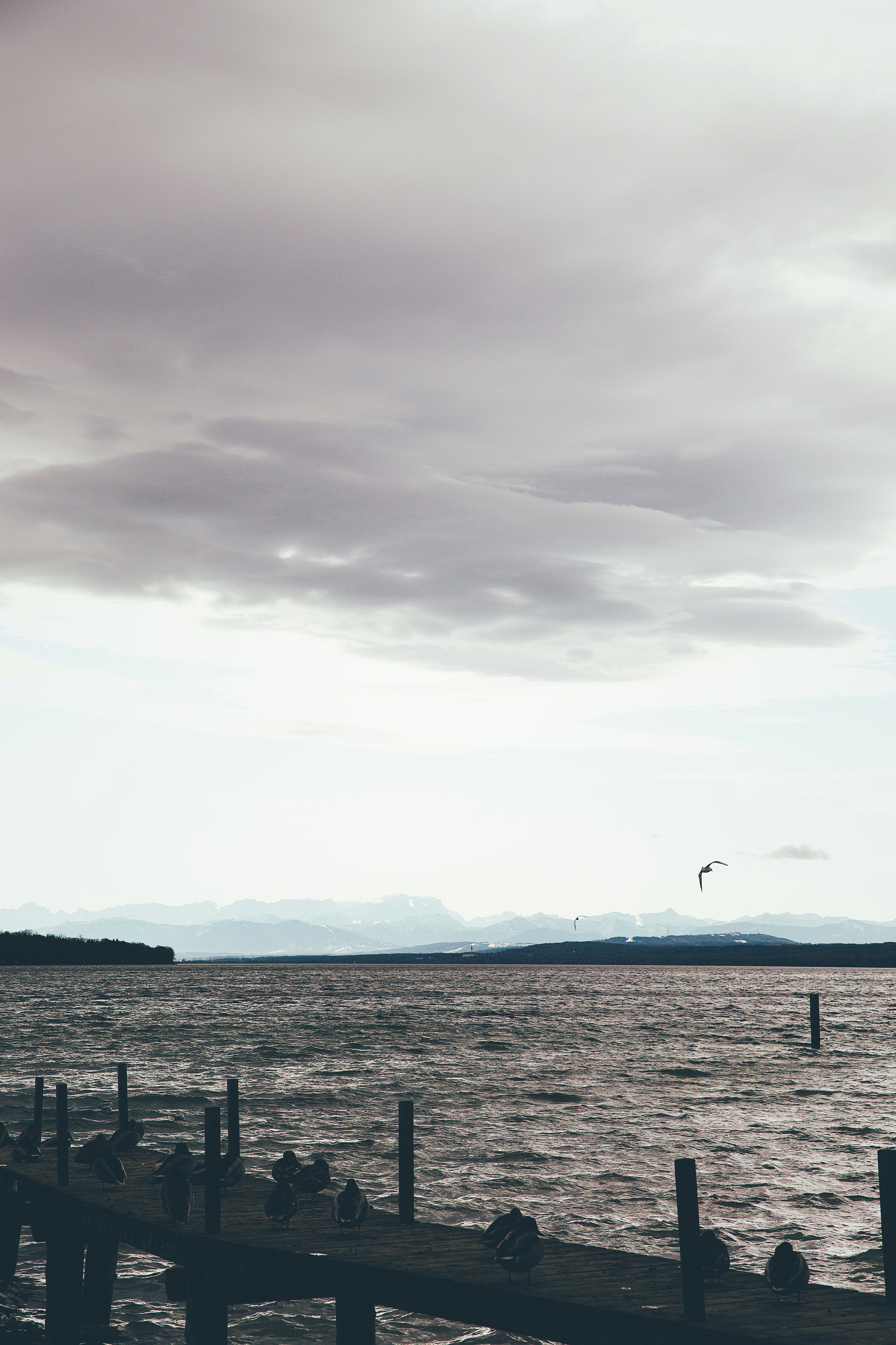 Photo by swagstreetboi