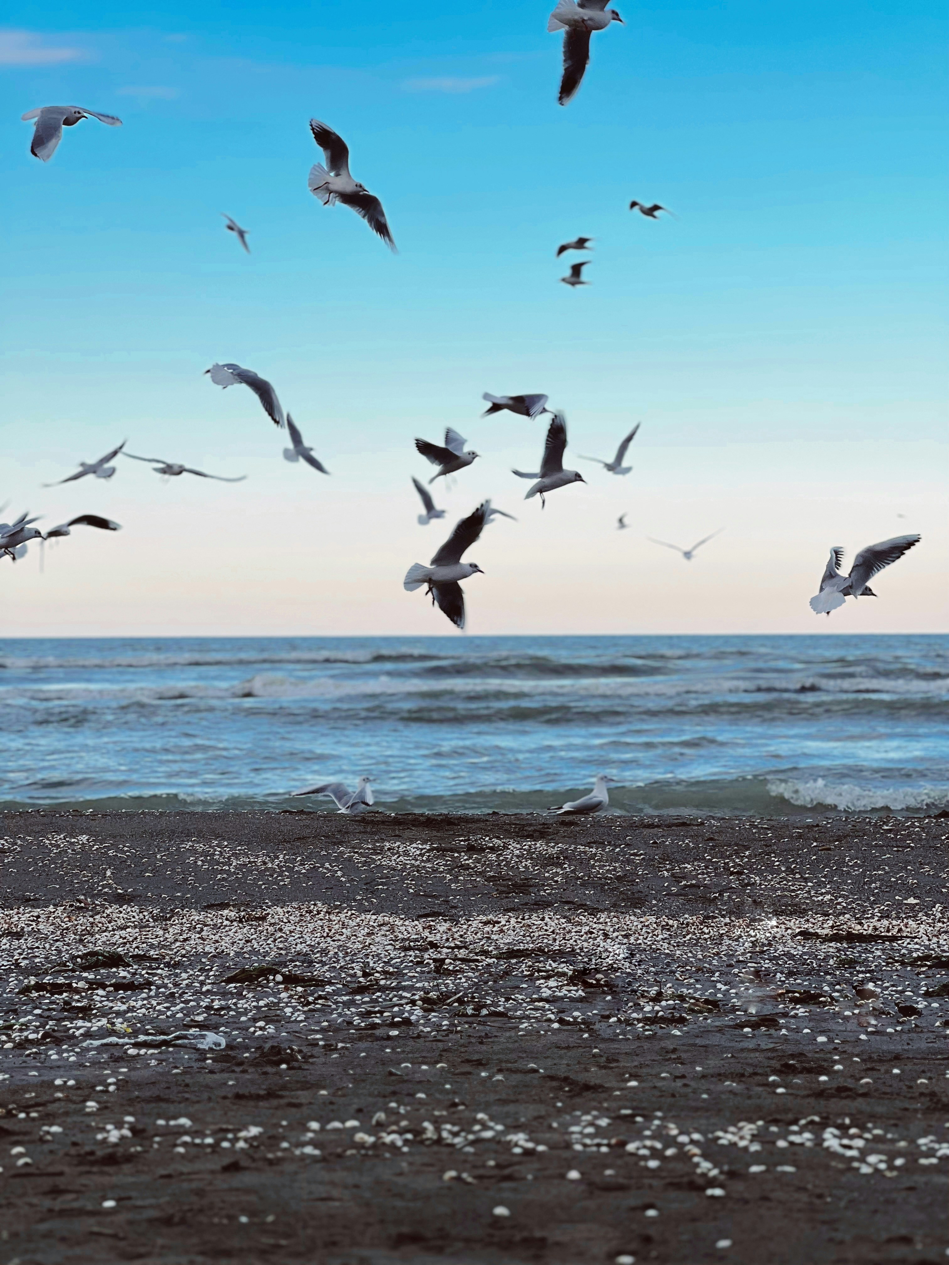 Photo by mozhdegraphy