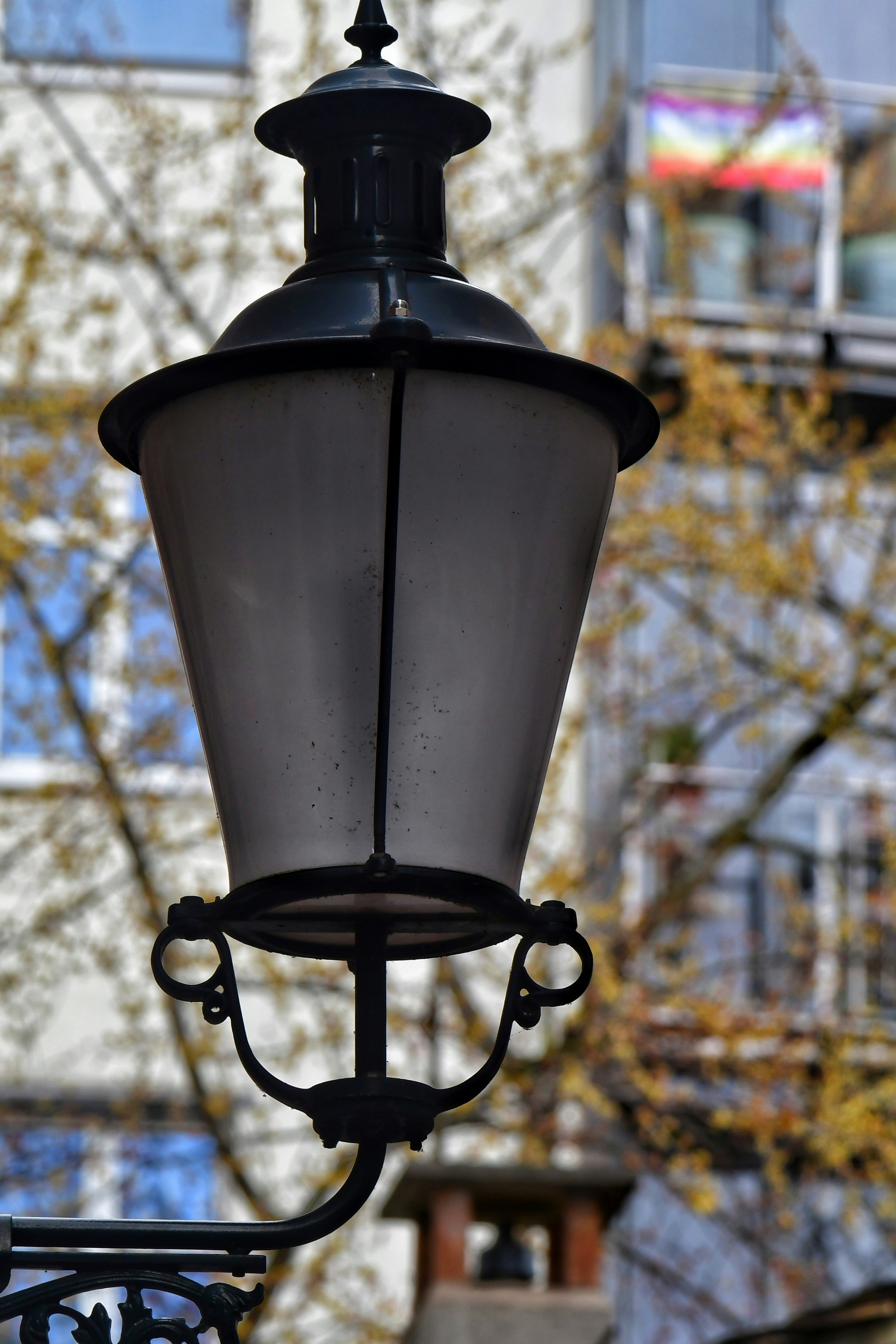 Photo by pedrino5_official