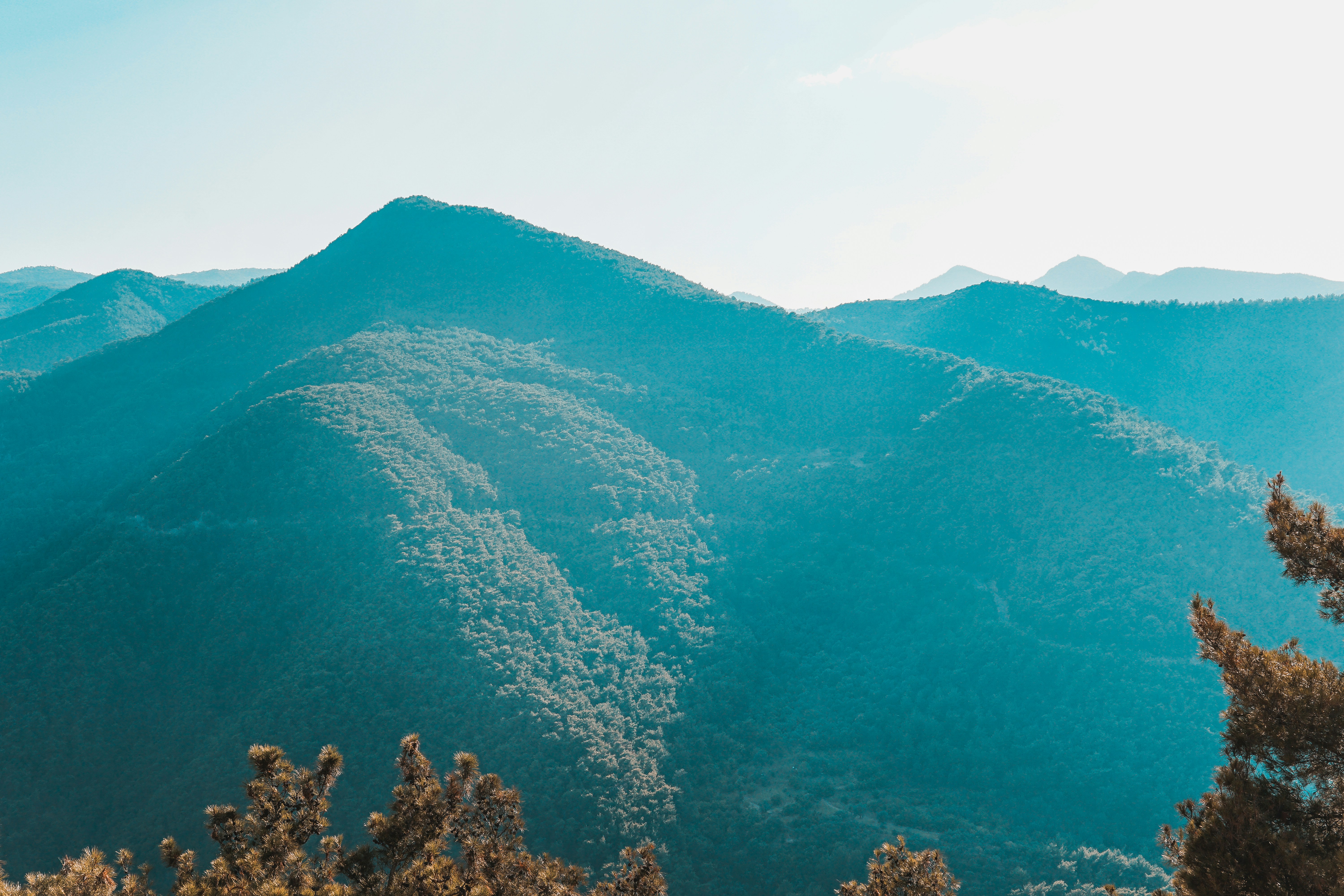 Photo by mertkahveci