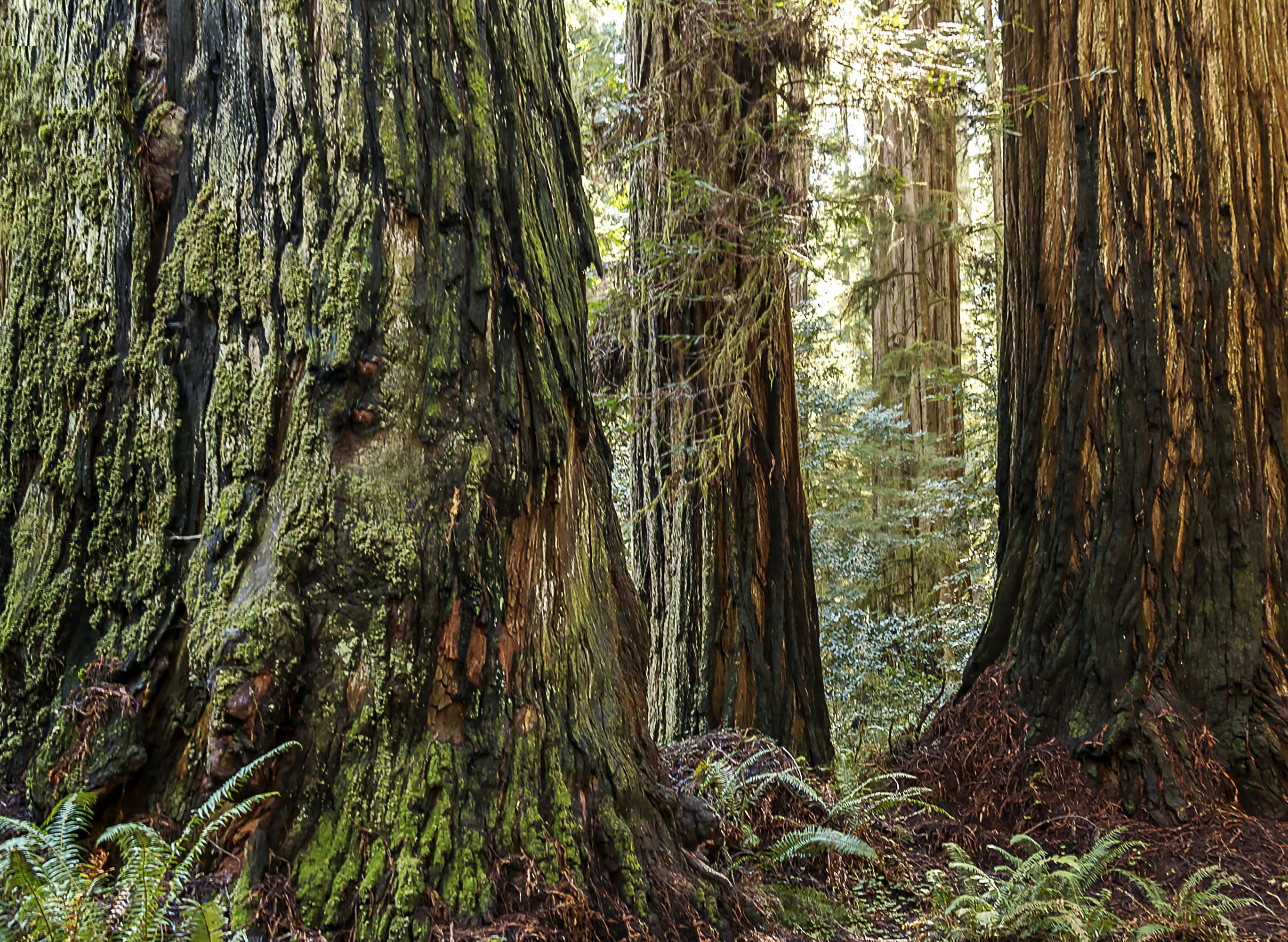 Photo by sterlinglanier