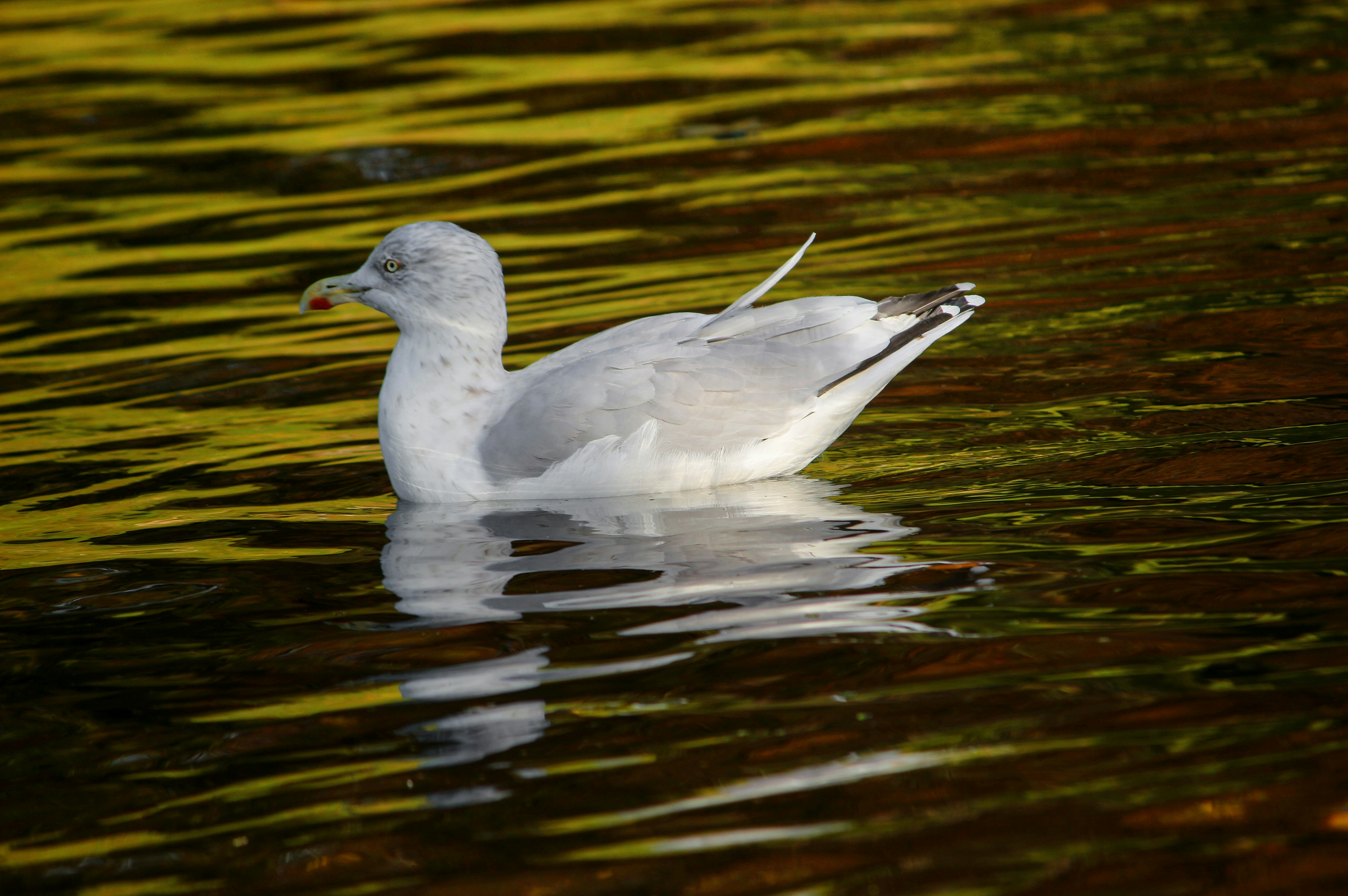 Photo by miloslopusina