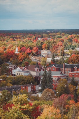 A small town surrounded by a dense forest in vibrant autumn colors. The buildings have a quaint, rustic charm with a mix of red, white, and gray. Trees with shades of orange, red, yellow, and green create a picturesque landscape under a lightly overcast sky.