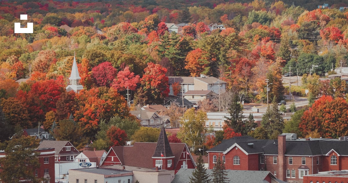 A town surrounded by trees in the fall photo – Free Parry sound Image ...