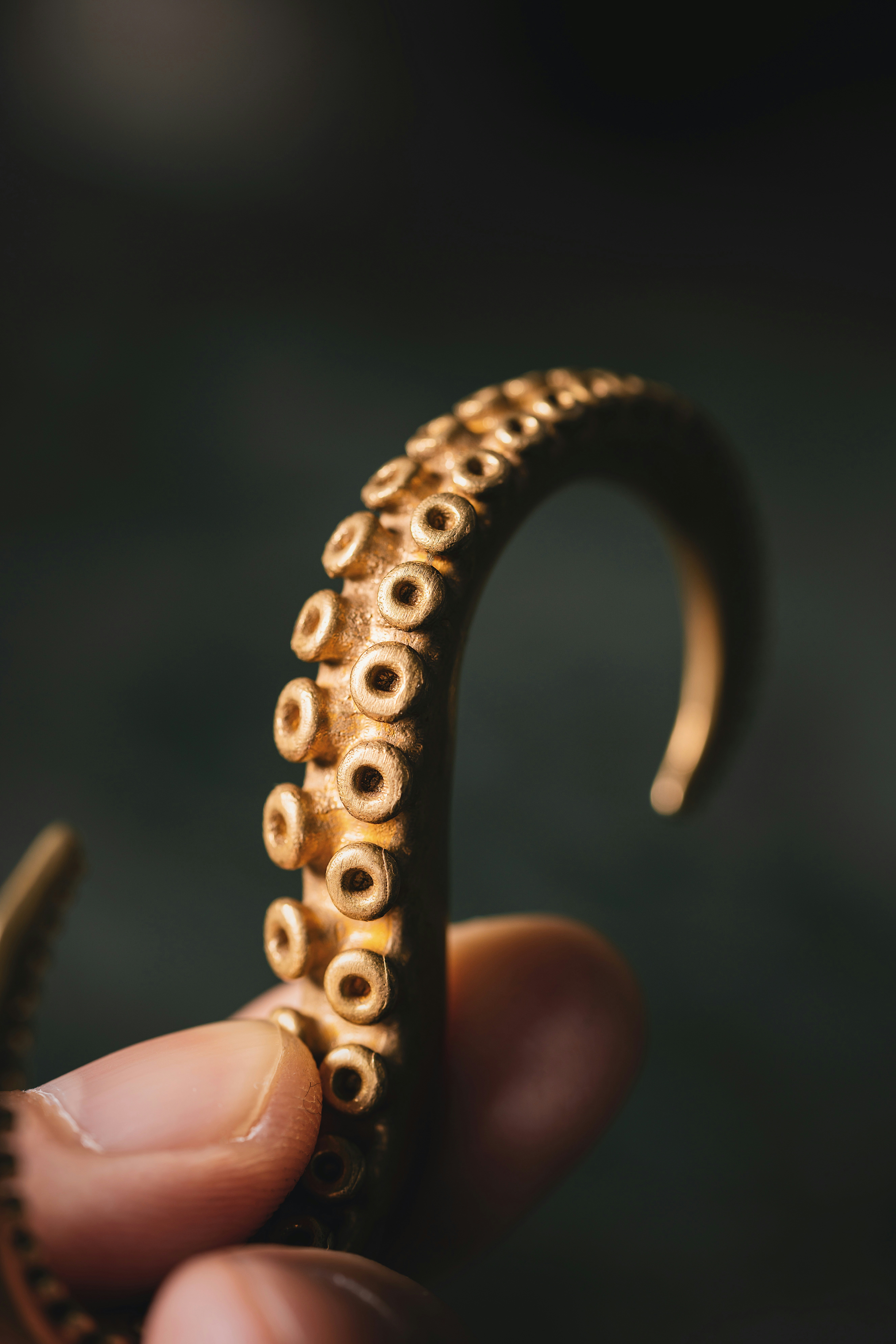 Photo by coppertistwu