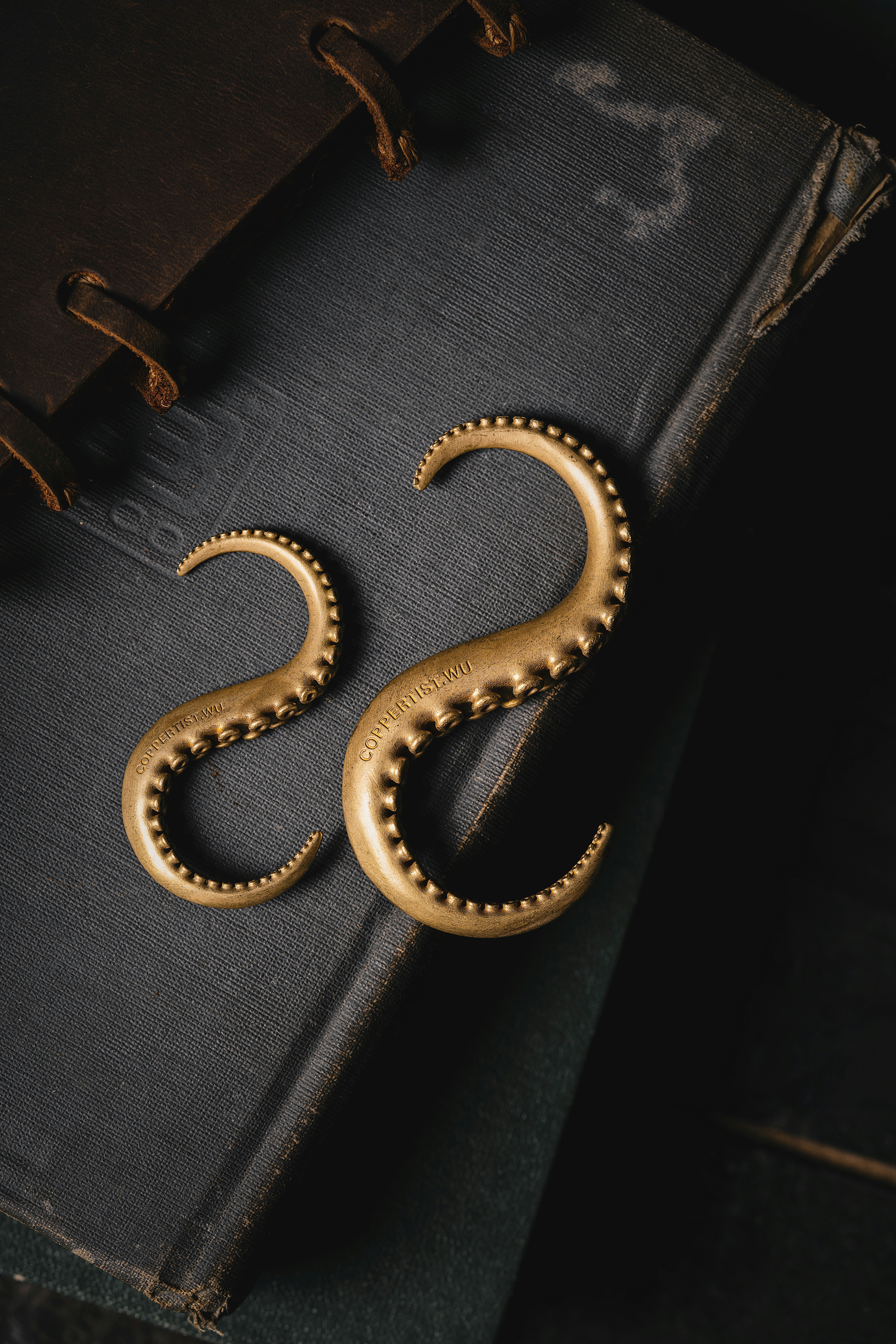 Photo by coppertistwu