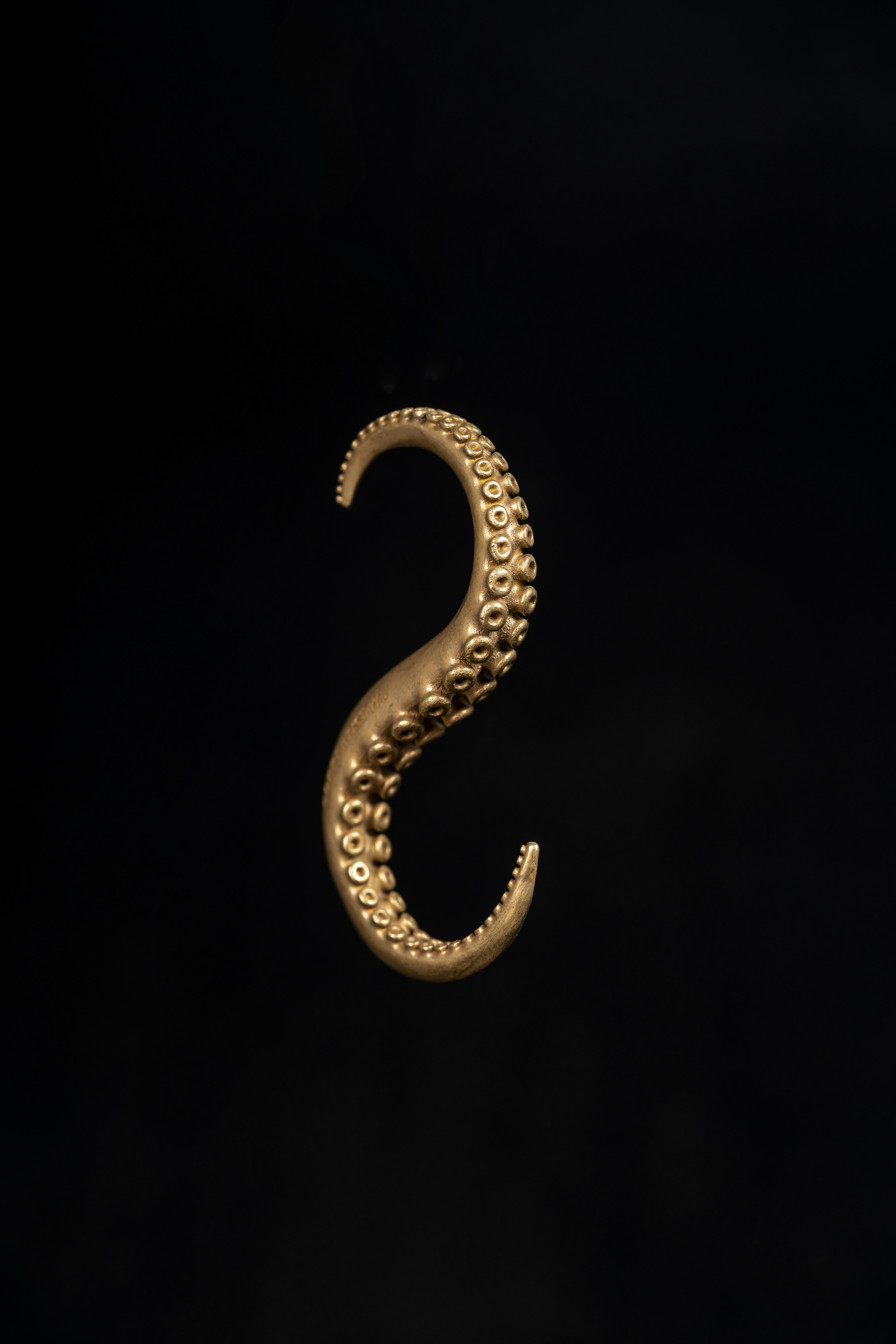 Photo by coppertistwu