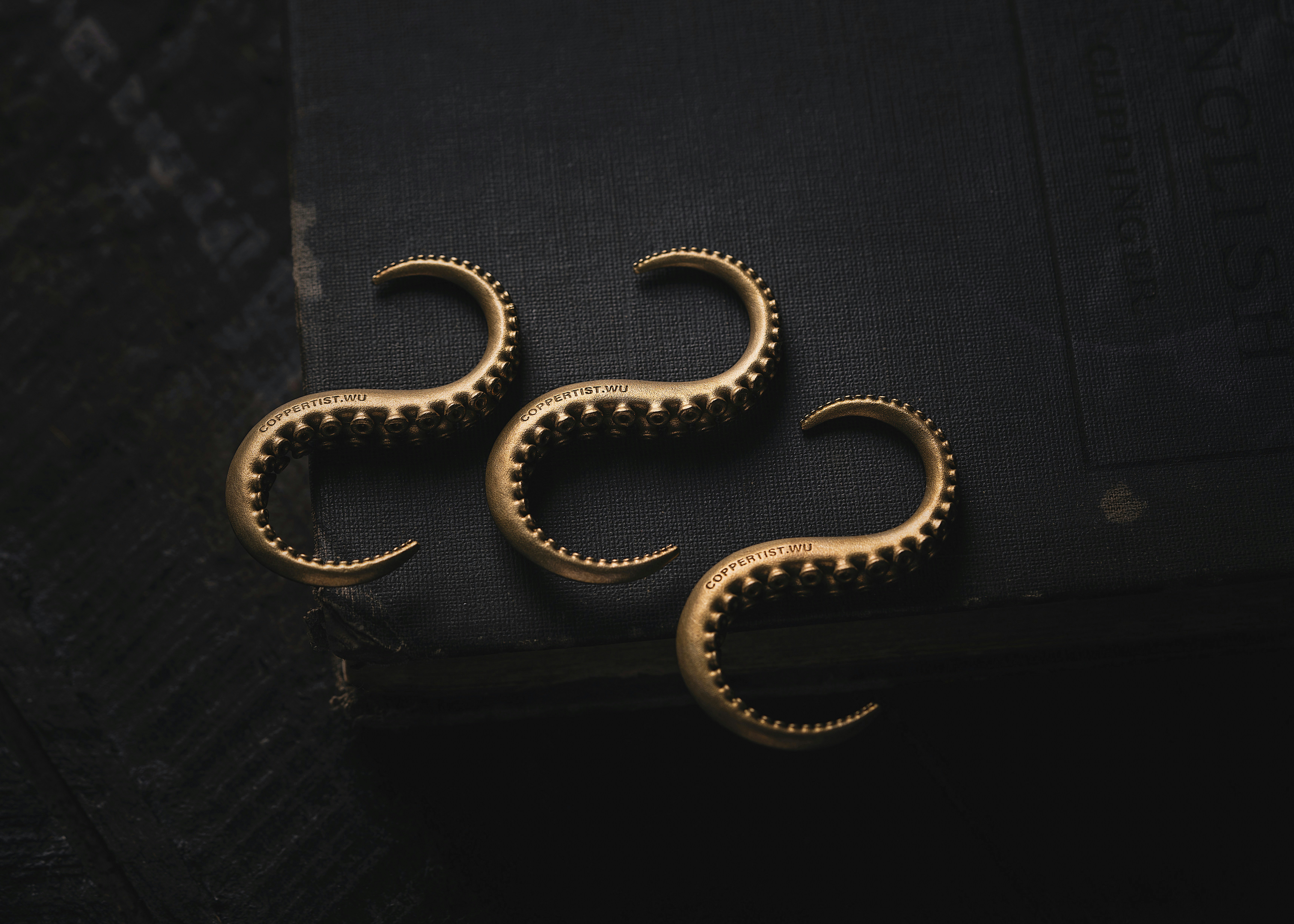 Photo by coppertistwu