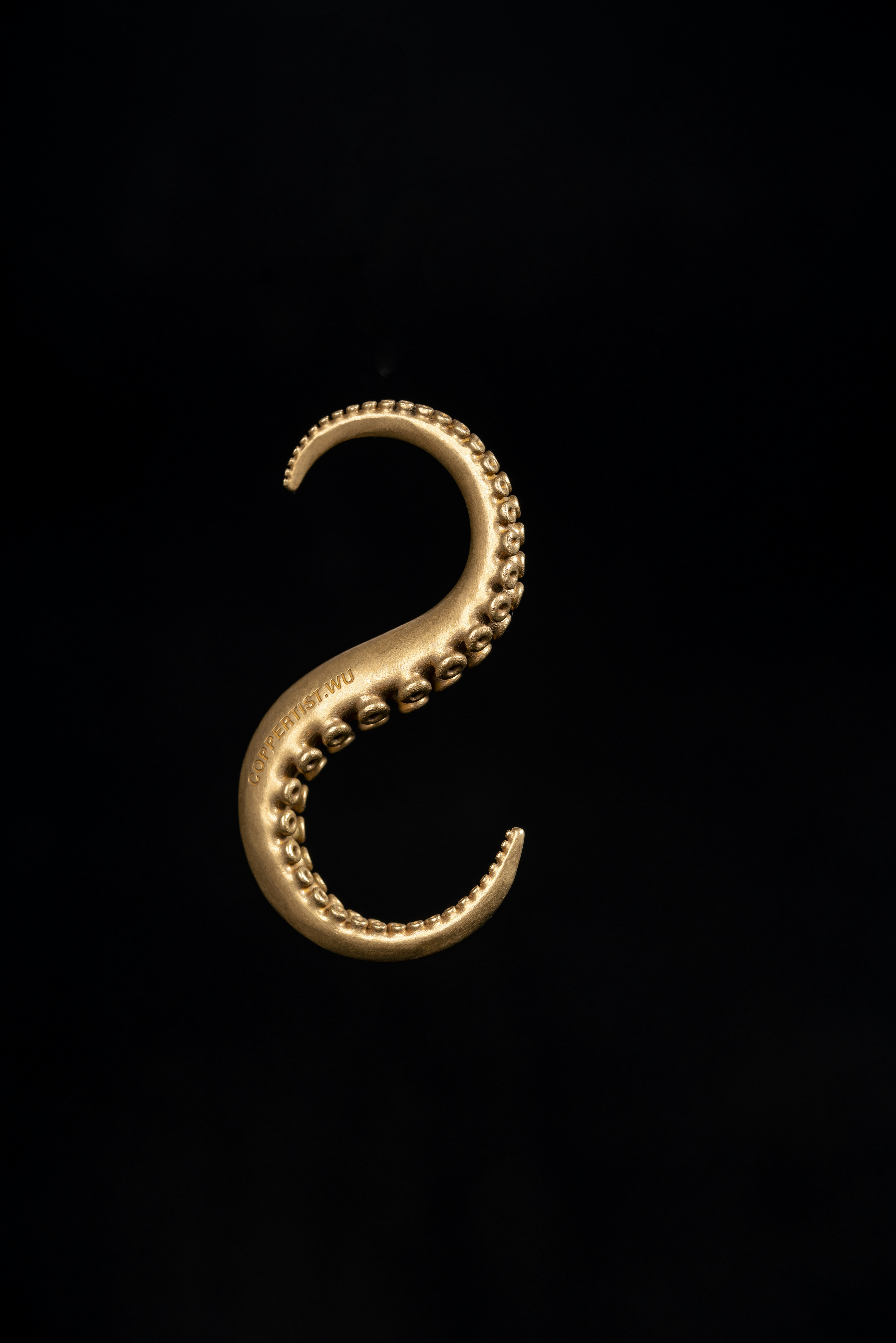 Photo by coppertistwu