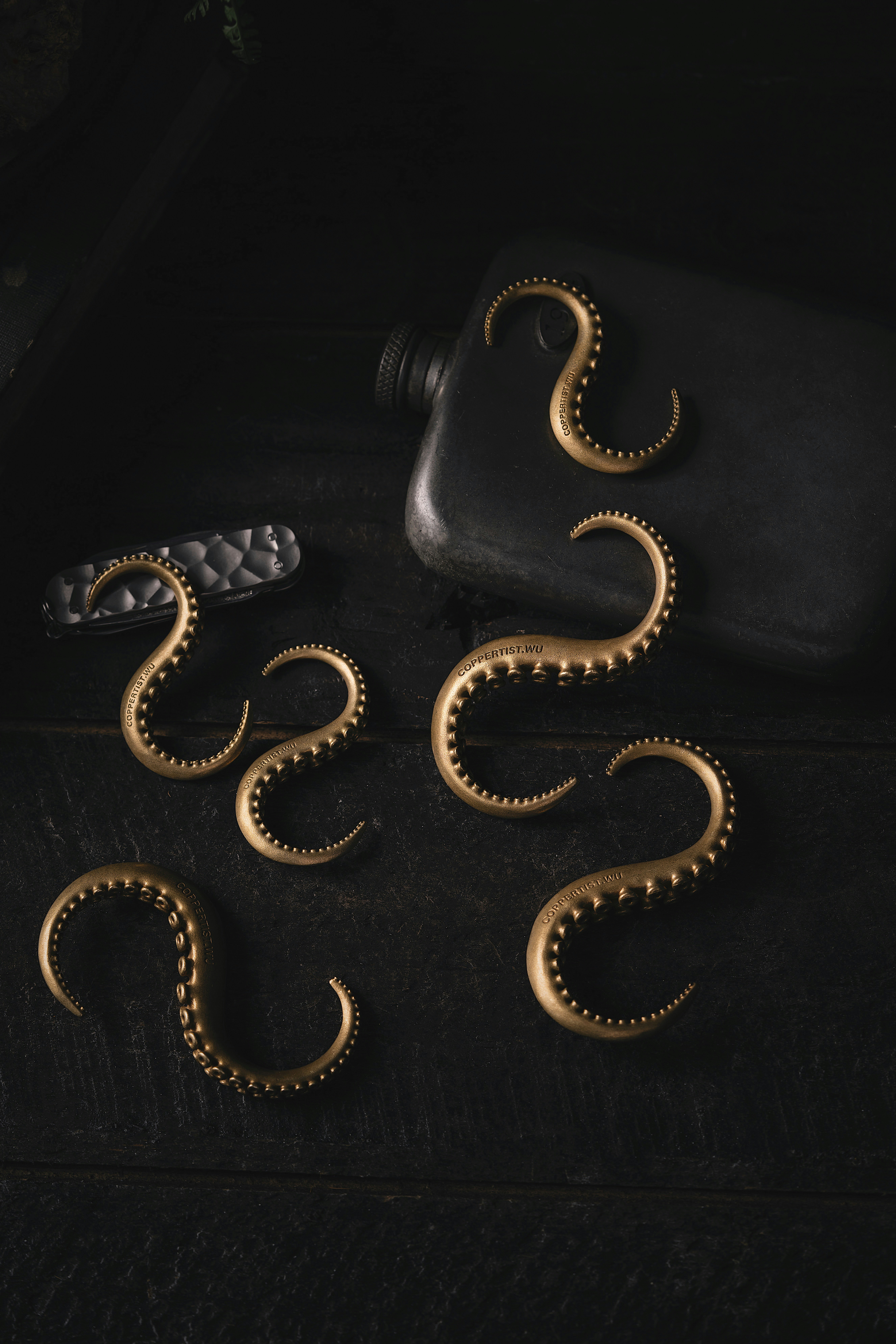 Photo by coppertistwu