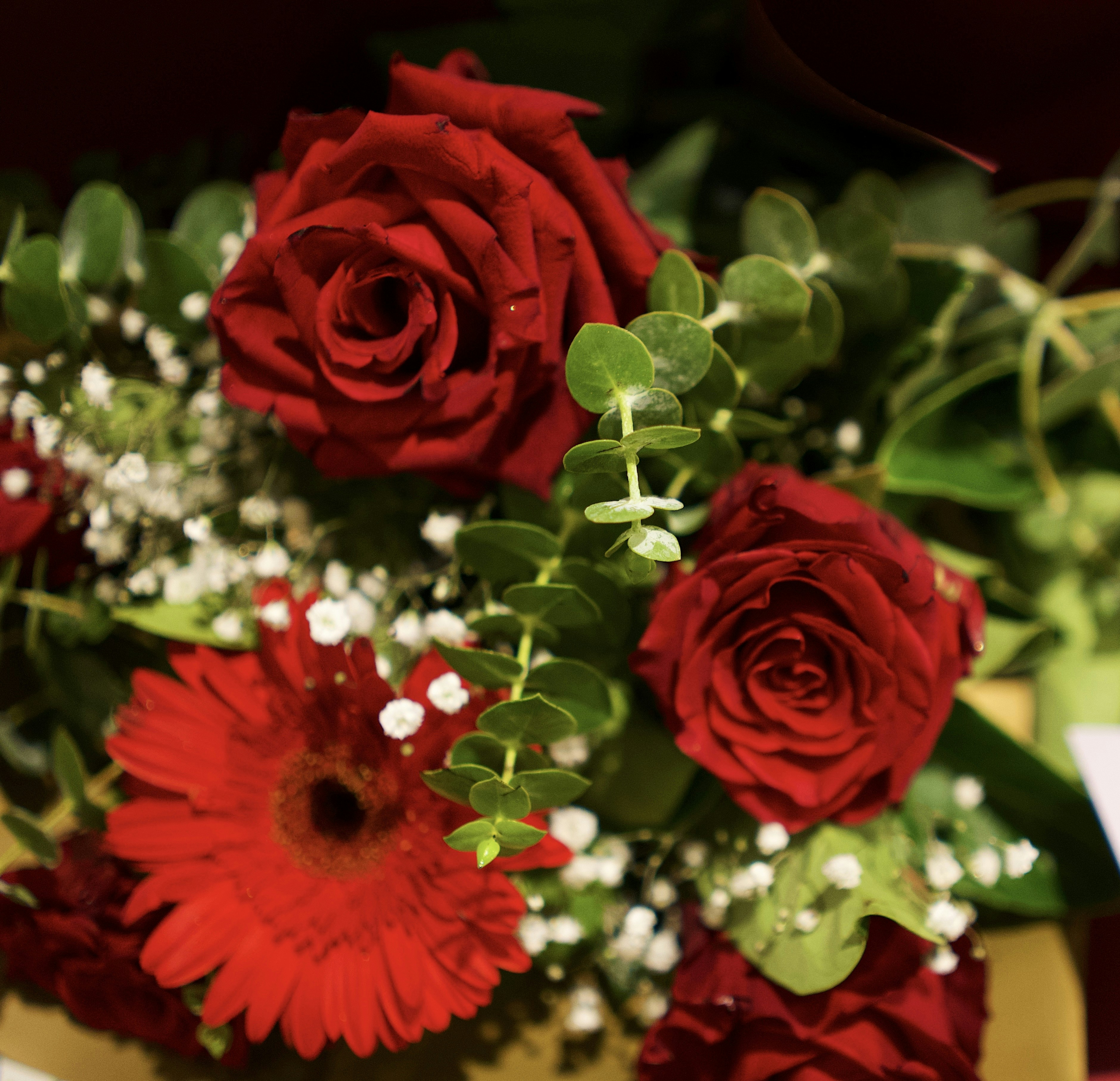 Photo by raunaqsachdev