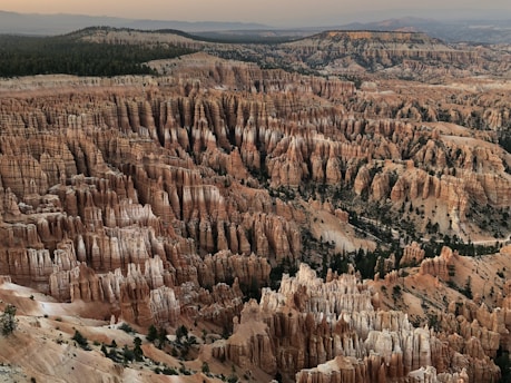 A vast and dramatic landscape featuring a multitude of towering rock formations known as hoodoos, with their distinct reddish-brown and white hues. The formations extend across a sprawling canyon, with patches of green vegetation scattered among them. The scene is bathed in a warm, muted light, suggesting an early morning or late evening setting.