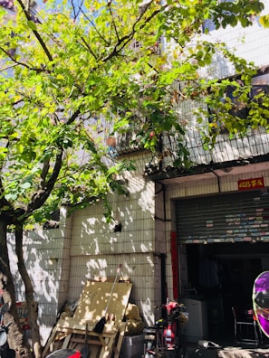 A tree with lush green leaves casts shadows on a white tiled building. Various objects, including a broom and wooden boards, are stacked against the building. A red bike is parked next to a small garage-like entrance with a partially open shutter. There is also a vibrant purple and green element in the foreground.