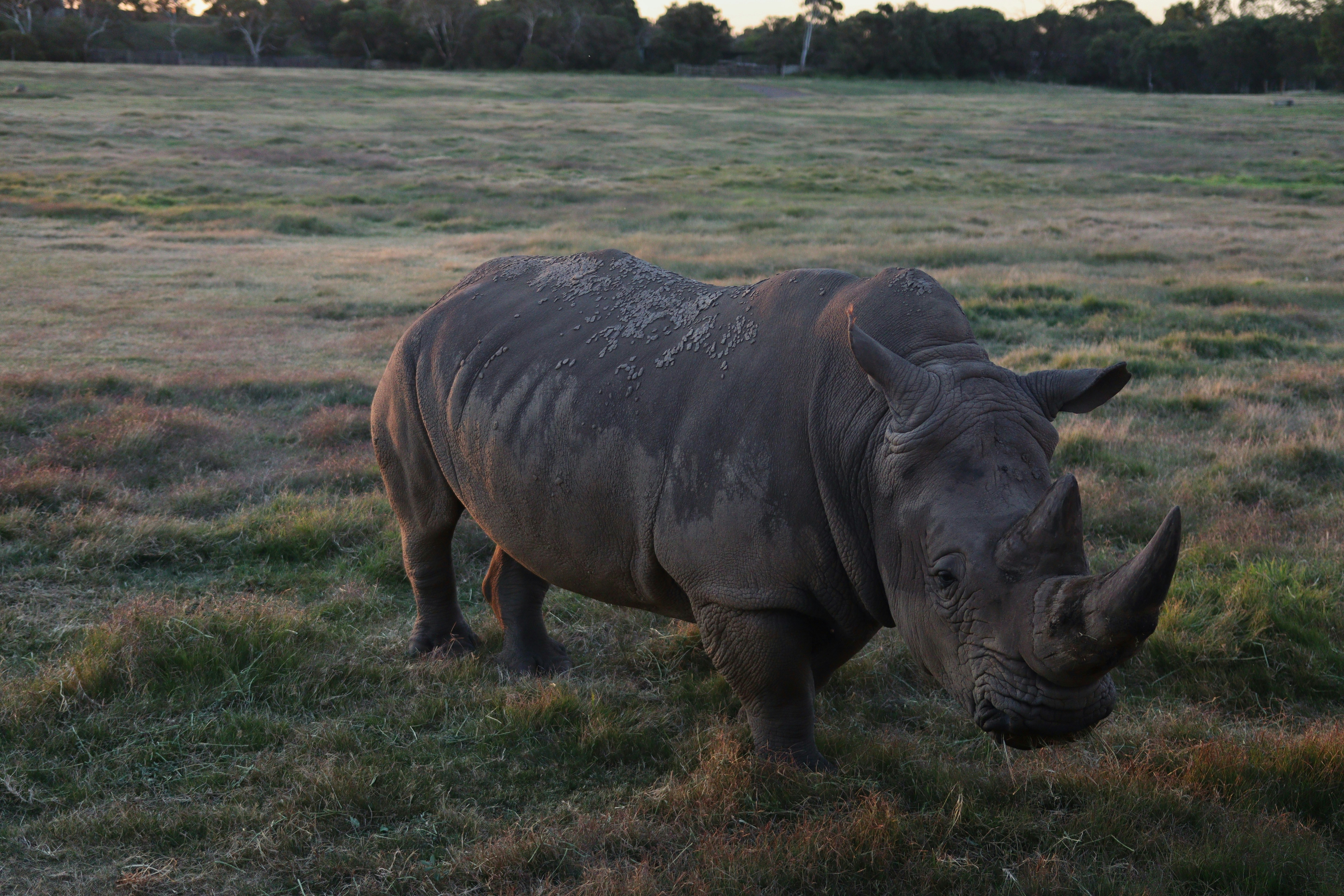 Photo by capturedbymo