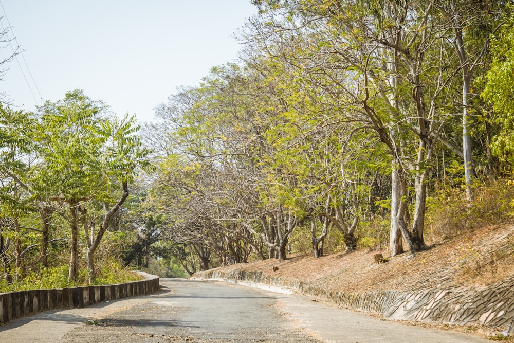 an empty road surrounded by trees on a sunny day