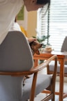 A small dog sits in a light gray armchair while being gently petted by a person standing beside it. The setting appears to be indoors with soft natural light coming through window blinds. The background includes a wooden table, part of another chair, and a potted plant.