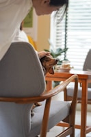 A happy dog receiving gentle physiotherapy treatment in a bright, welcoming clinic room.