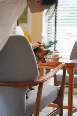 A happy veterinarian gently examining a small dog in a bright, cheerful clinic setting