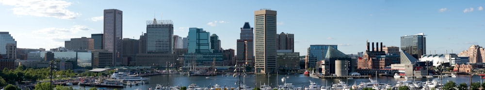 a view of a city with boats in the water