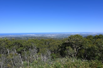 a scenic view of a city from a hill