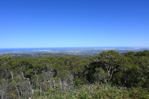 a scenic view of a city from a hill