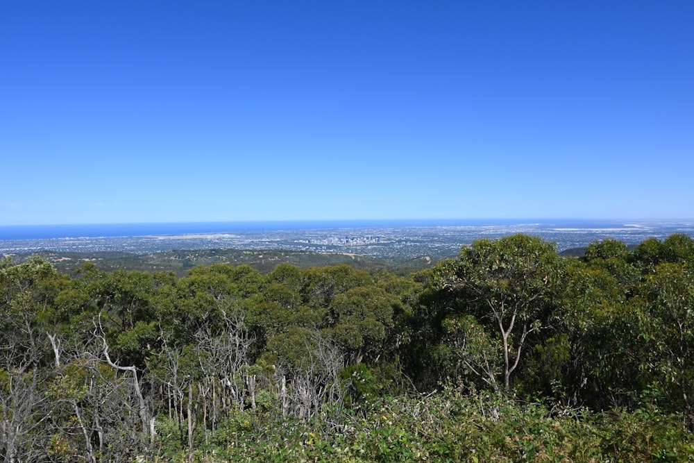 a scenic view of a city from a hill