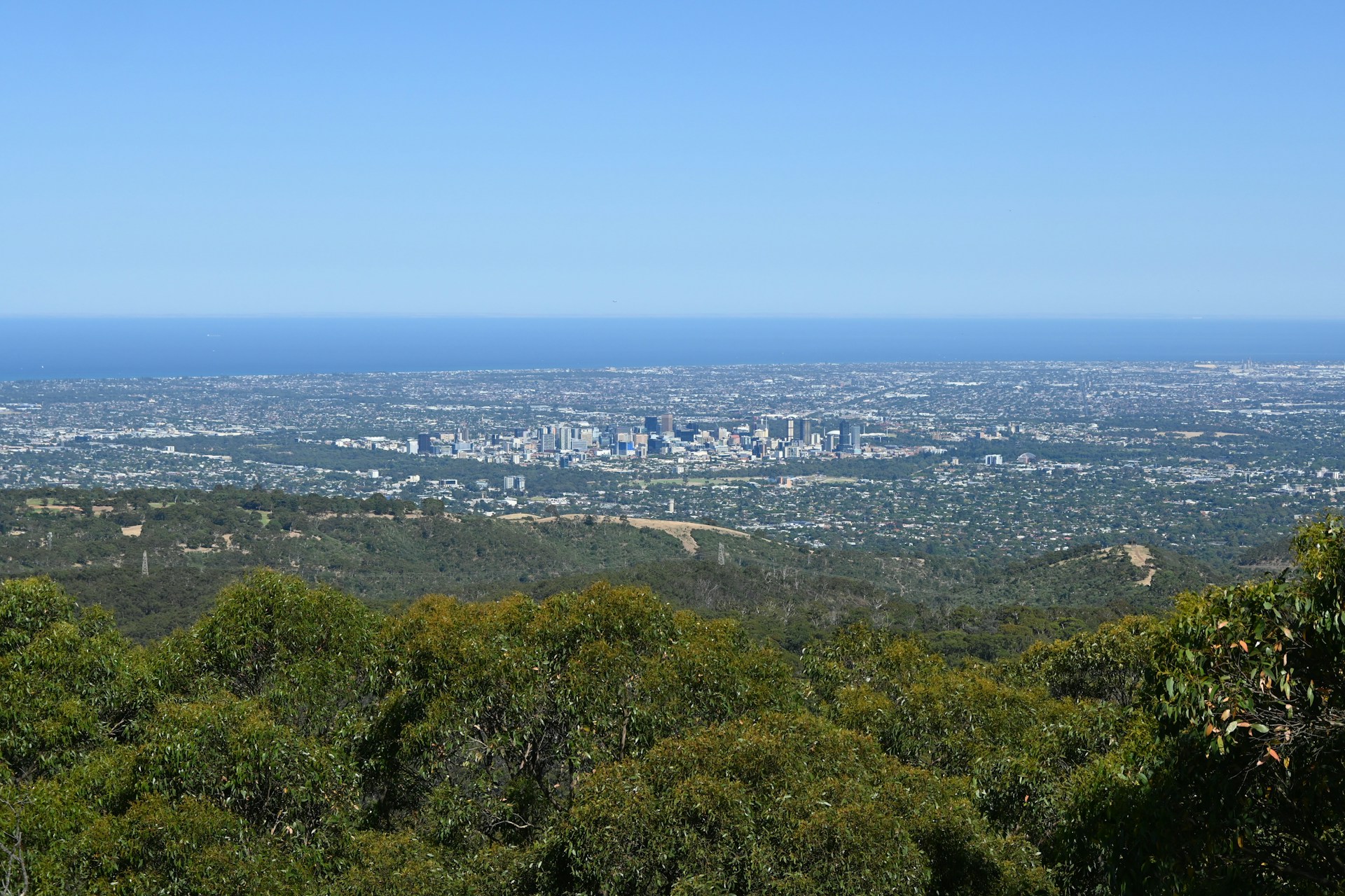 a view of a city from the top of a hill