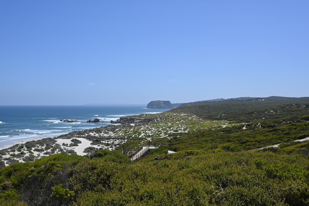 a view of the ocean from a hill