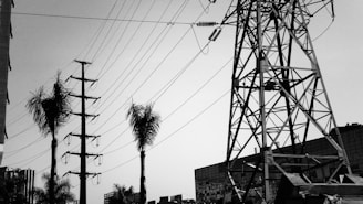 A black and white image showing a large metal electricity pylon with several wires extending across the sky. Palm trees are visible, adding contrast to the industrial structure. Buildings can be seen in the background.