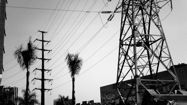 A black and white image showing a large metal electricity pylon with several wires extending across the sky. Palm trees are visible, adding contrast to the industrial structure. Buildings can be seen in the background.