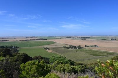 A vast agricultural landscape stretches out under a clear blue sky, featuring green fields interspersed with patches of dry, brown land. A few small buildings are scattered across the terrain, and clusters of trees line the fields. In the foreground, lush green vegetation adds depth to the scene, enhancing the scenic view of open countryside.