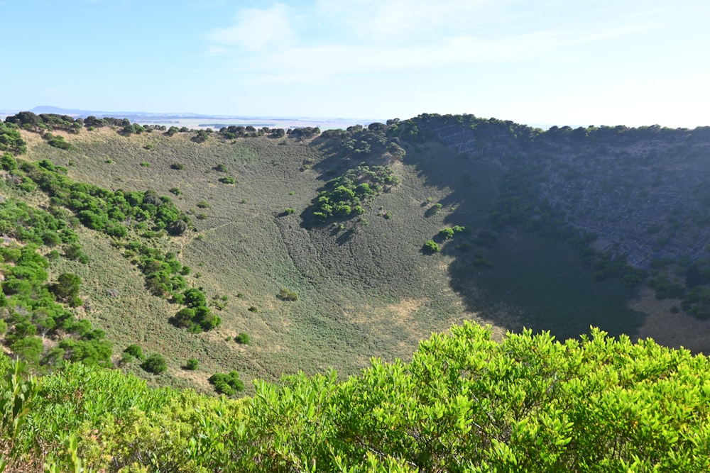 a view of a valley with trees on the side of it