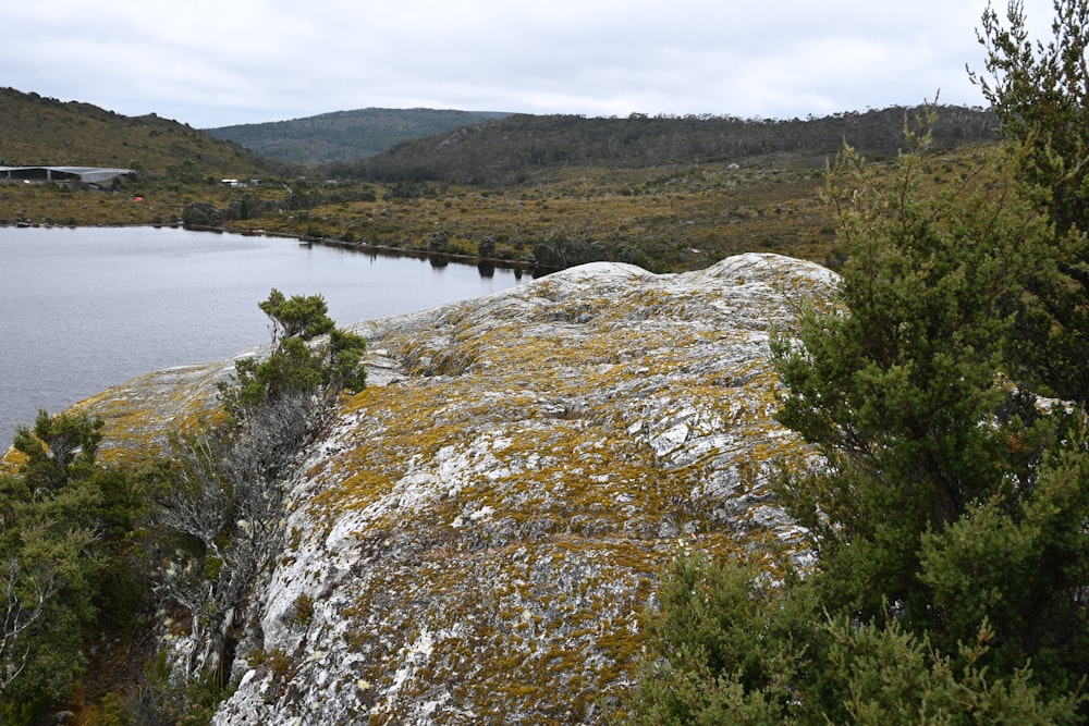 a view of a body of water surrounded by trees