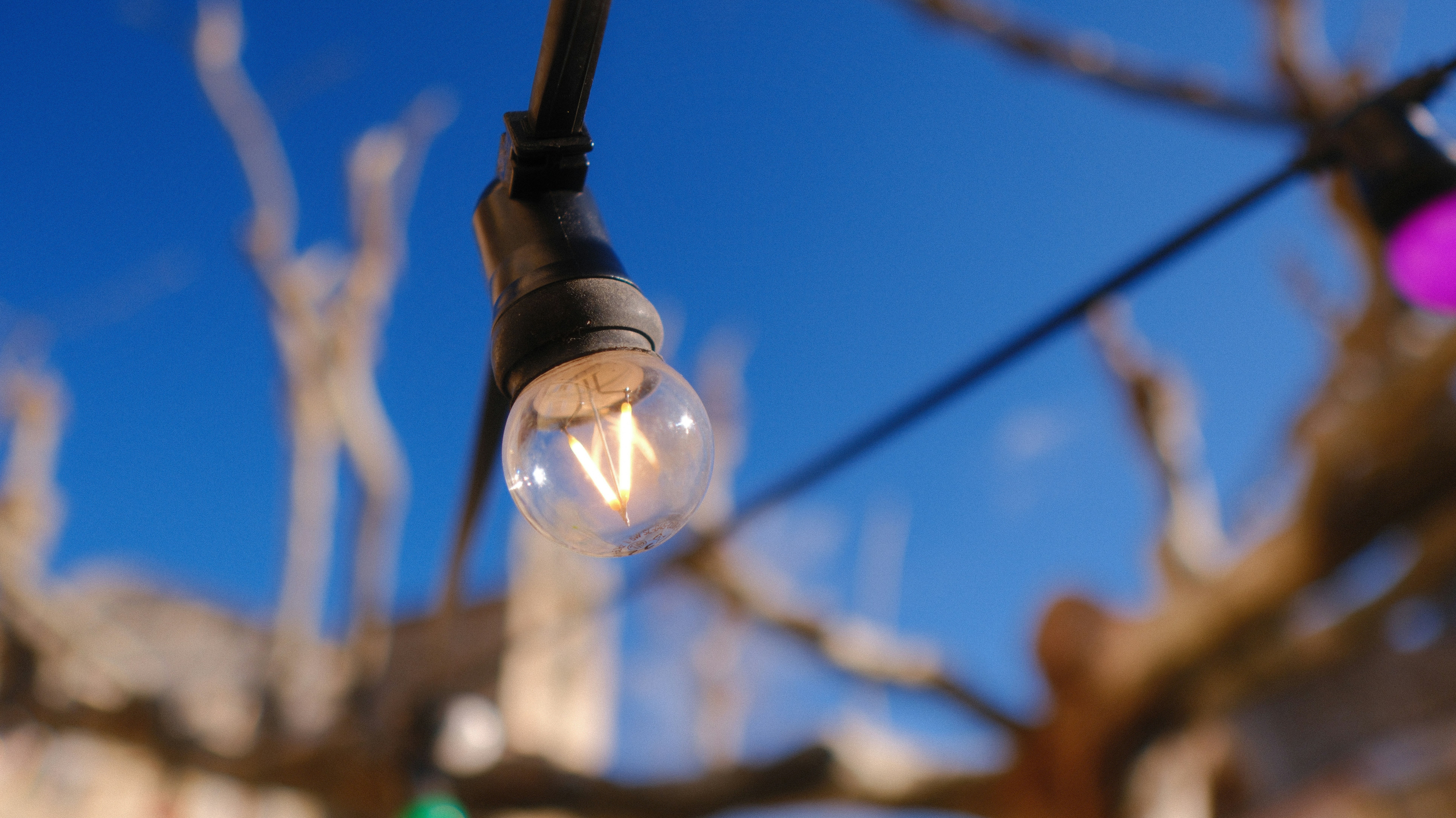 Photo by kaackoknight