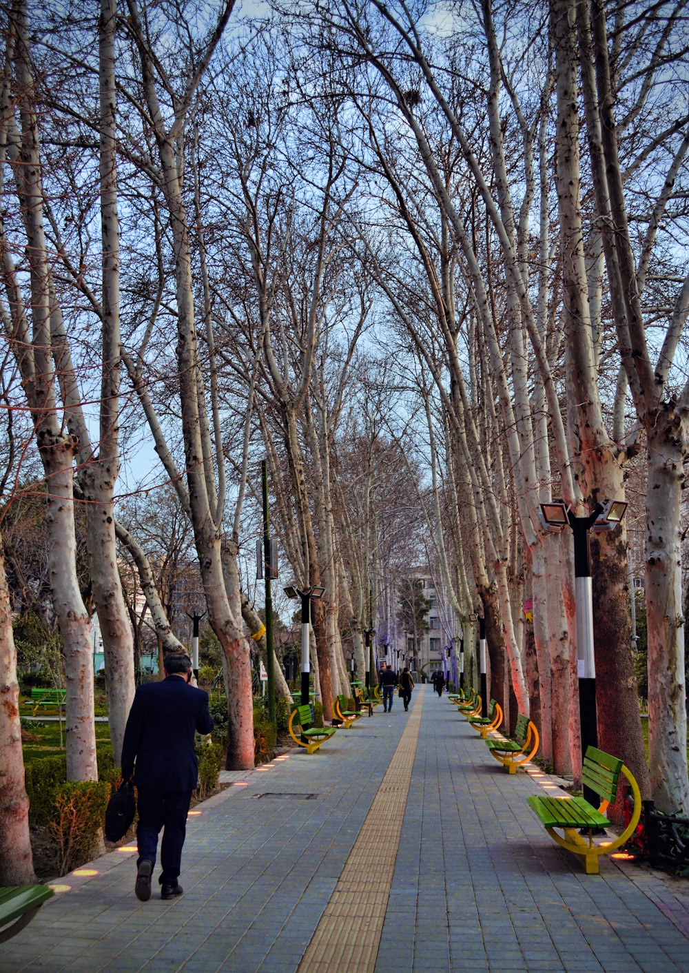 a man walking down a sidewalk next to a row of trees