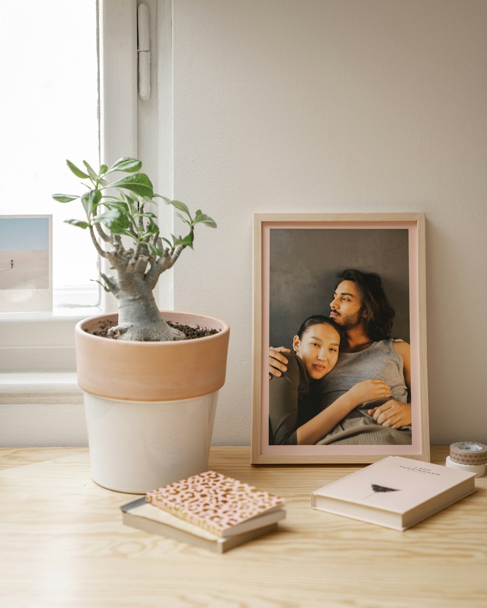 a potted plant sitting next to a picture of a couple