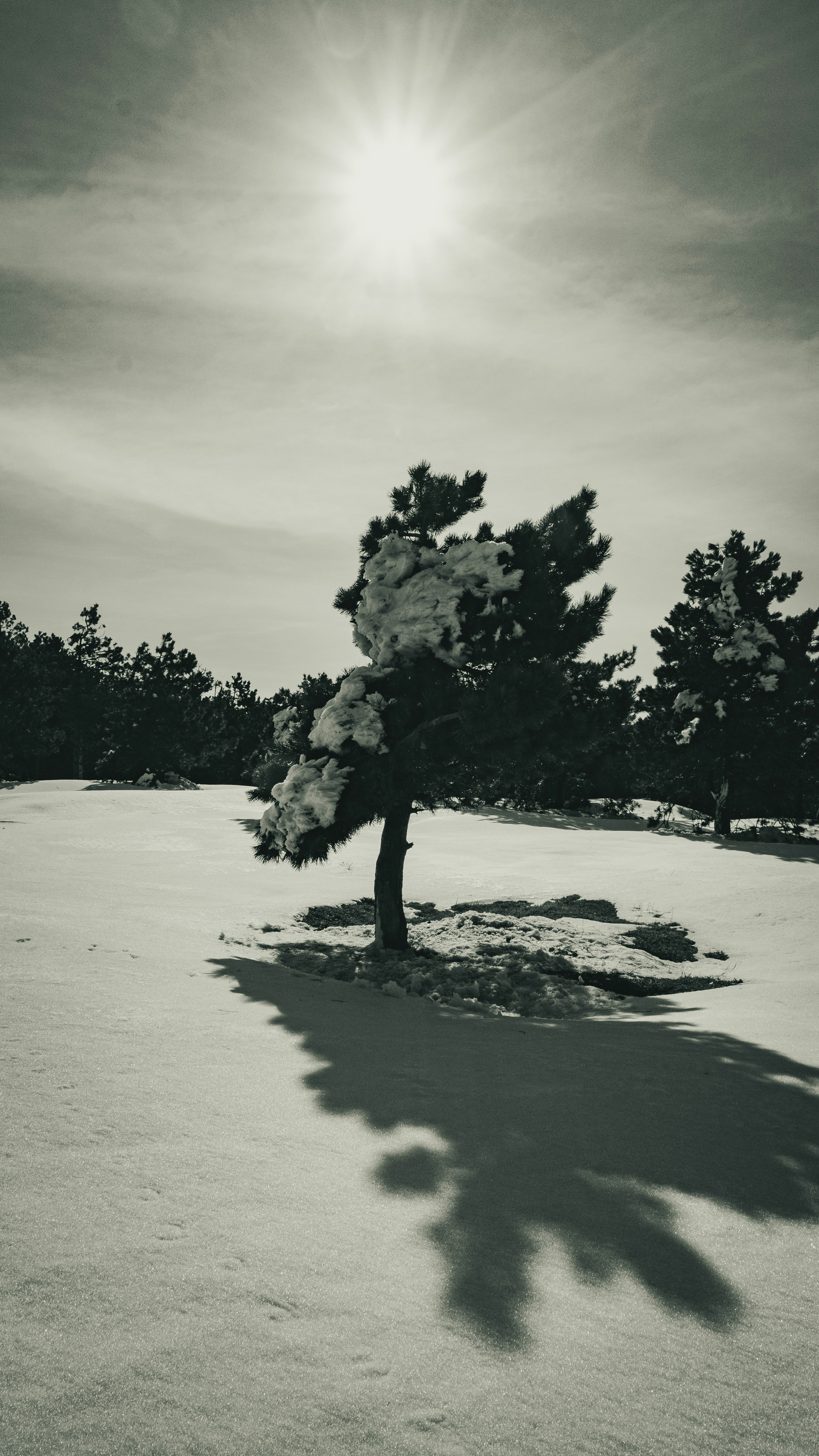 Photo by burakdonertas