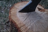 Close shot of a stump grinder machine blade cutting through tree roots.