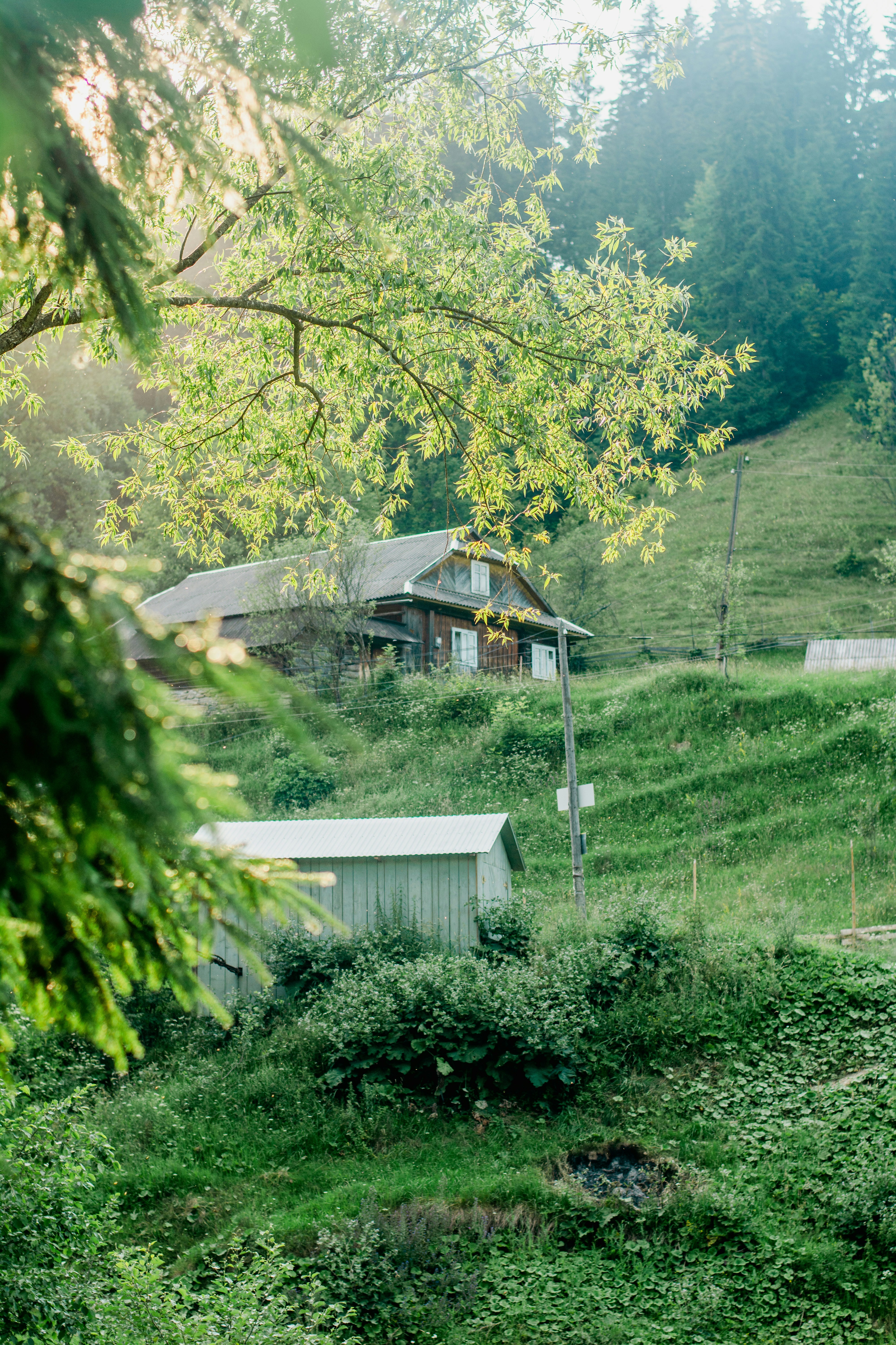 Photo by eugenivy_now