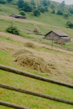 A rural landscape featuring a green hillside with several wooden barns and structures scattered across the slope. A large pile of hay is prominently placed in the center, surrounded by fencing and lush greenery. The scene is peaceful and captures the essence of a countryside setting.