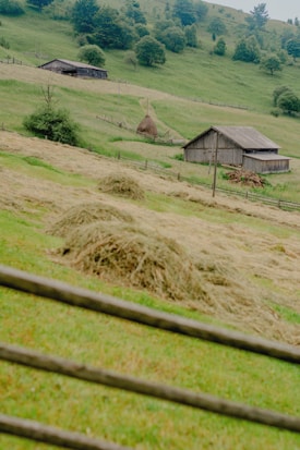 A rural landscape featuring a green hillside with several wooden barns and structures scattered across the slope. A large pile of hay is prominently placed in the center, surrounded by fencing and lush greenery. The scene is peaceful and captures the essence of a countryside setting.