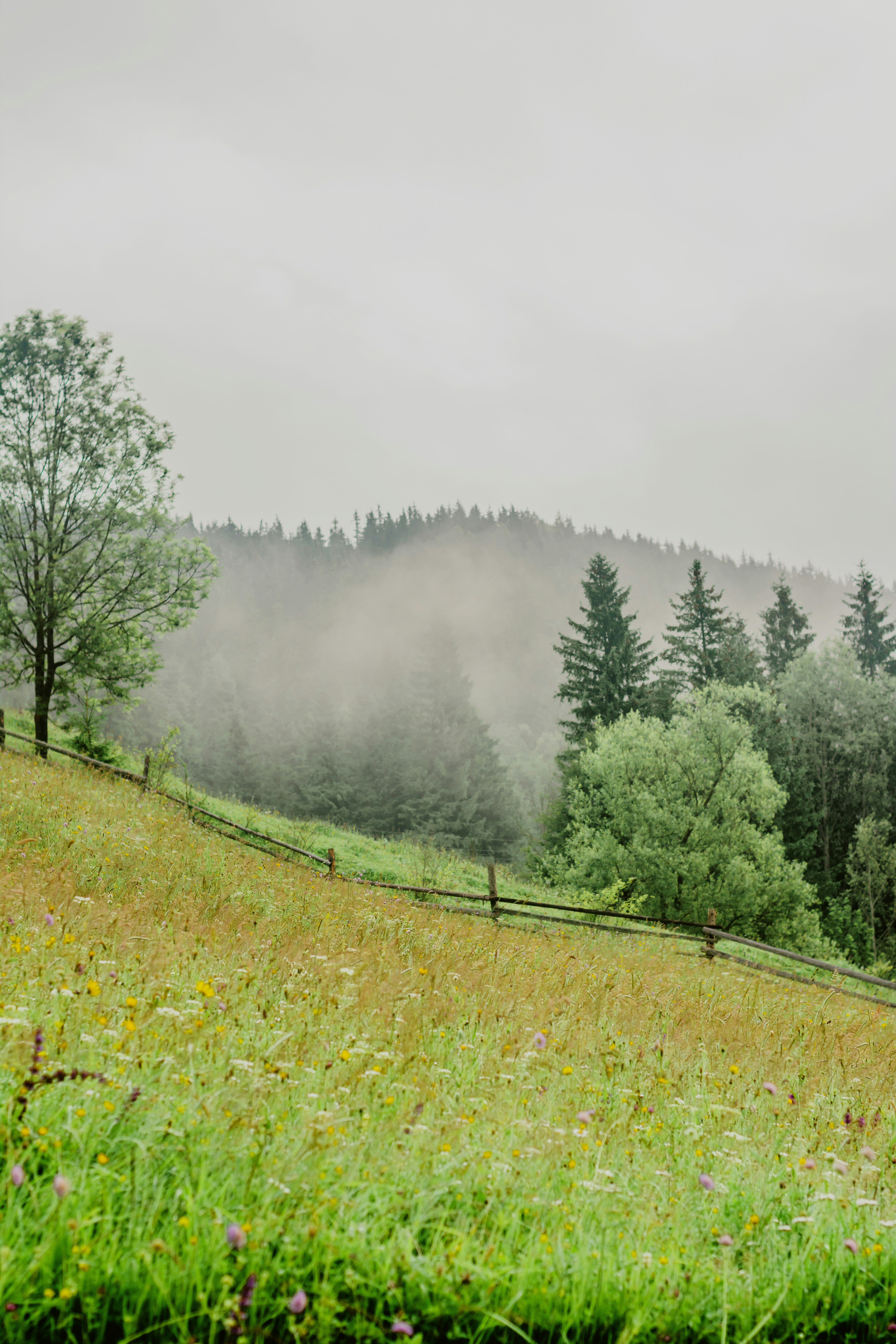 Photo by eugenivy_now