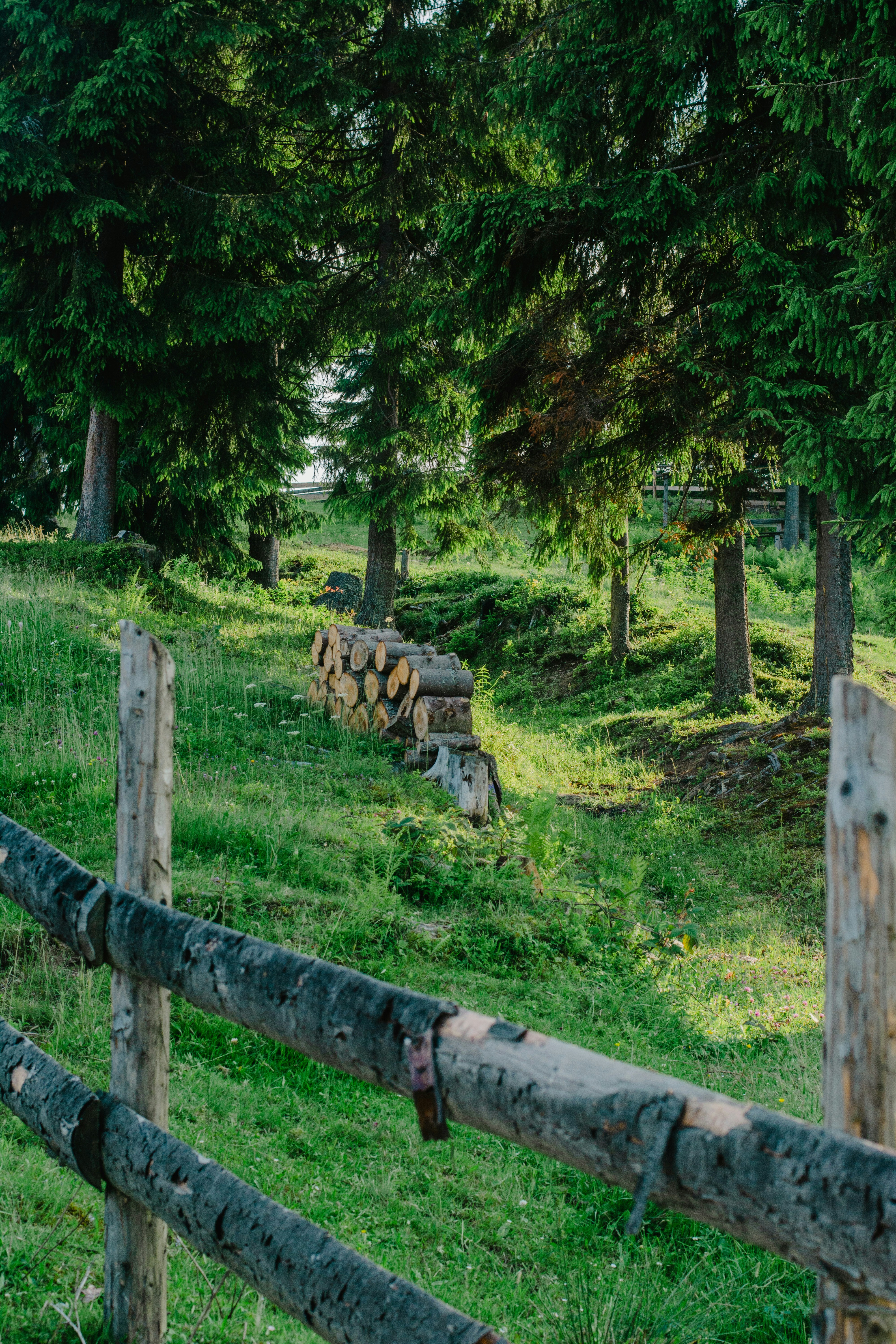 Photo by eugenivy_now