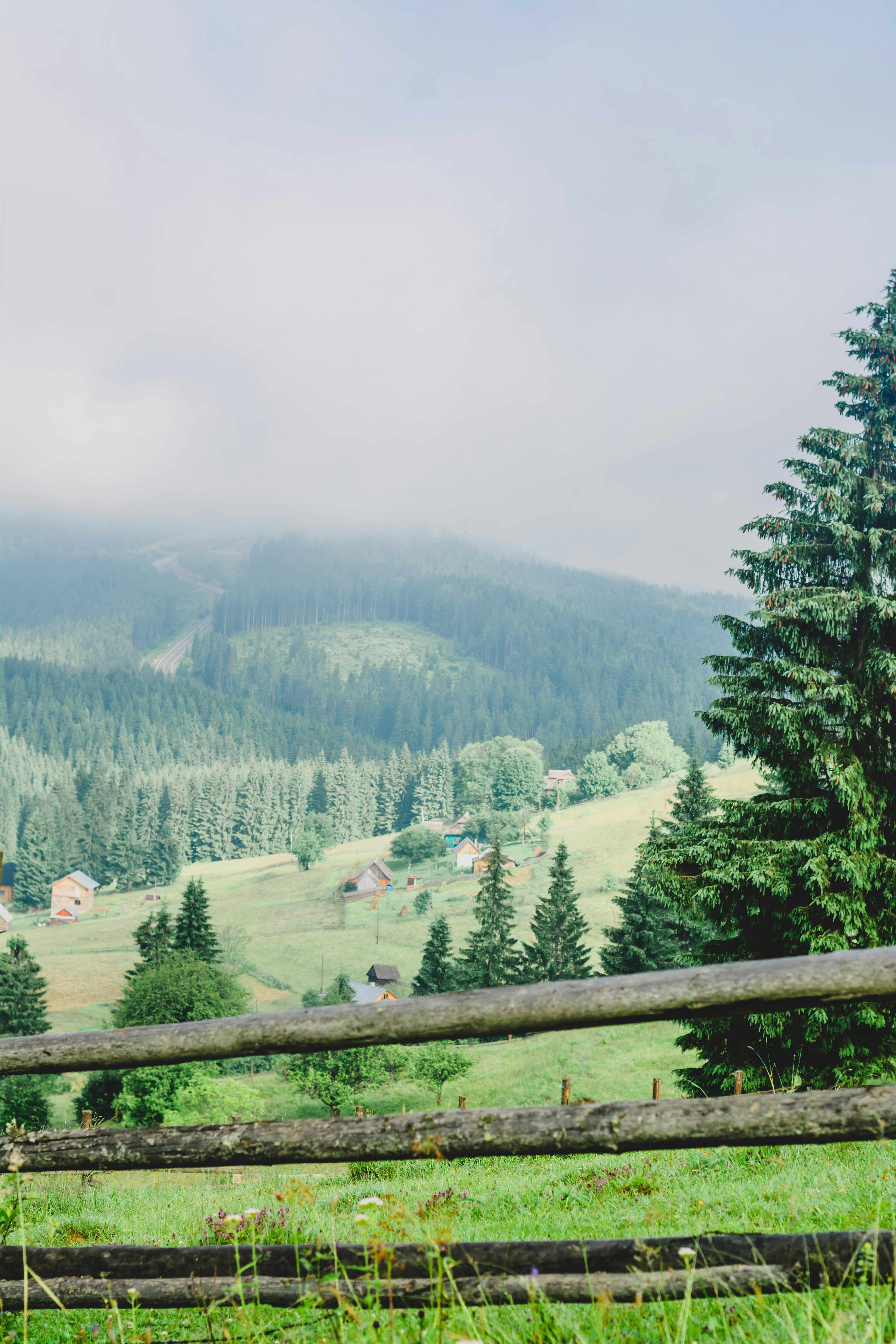 Photo by eugenivy_now