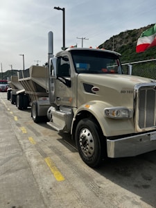 A large beige semi-truck is parked on a concrete road with a trailer attached. The vehicle has chrome details and the text 'BD 103' on the front. In the background, there is a hill with greenery and a flag with red, white, and green stripes. The sky is overcast.