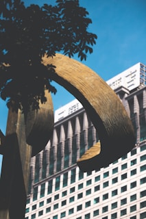 An artistic wooden sculpture that complements modern architecture.