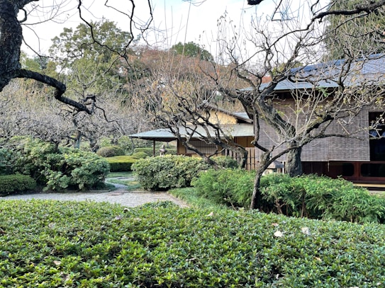 A peaceful garden scene featuring a traditional Japanese-style house, surrounded by bare trees and well-maintained greenery. The garden path winds through manicured shrubs, leading the eye towards the structure's wooden details and sliding doors. A serene atmosphere is created by the natural and architectural elements.